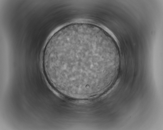 X0000115091437200911241204