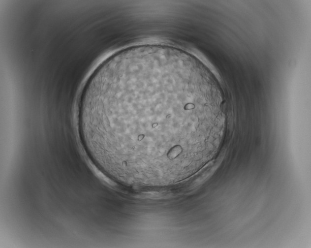 X0000115091438200911241204