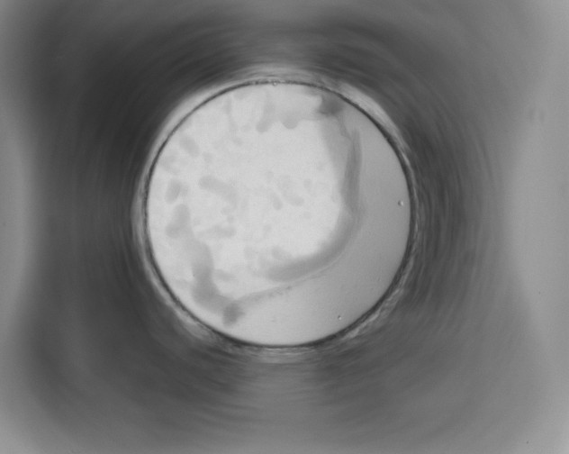 X0000115091440200911241204