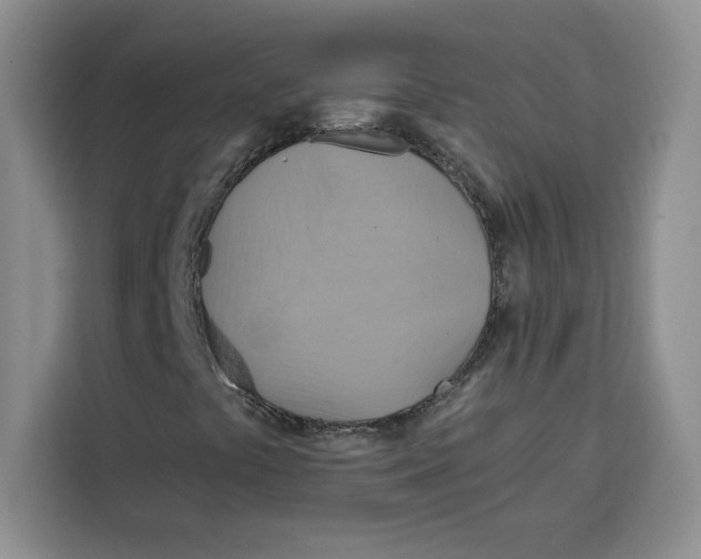 X0000115091441200911241204
