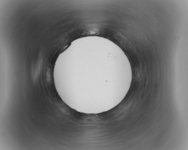 X0000115091442200911241204
