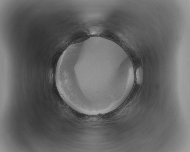 X0000115091443200911241204