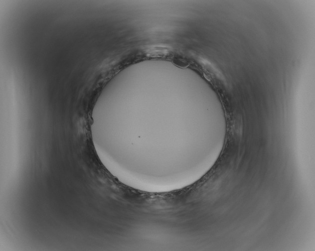 X0000115091445200911241204