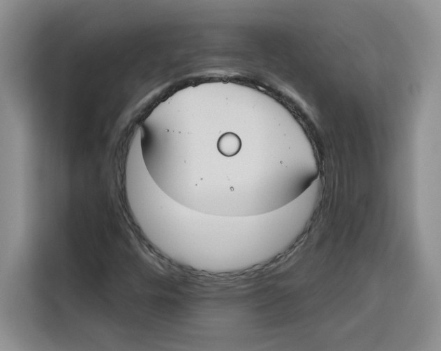 X0000115091448200911241204