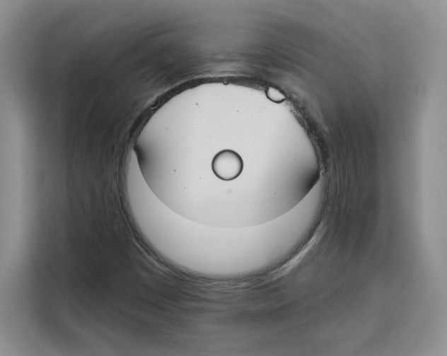 X0000115091449200911241204
