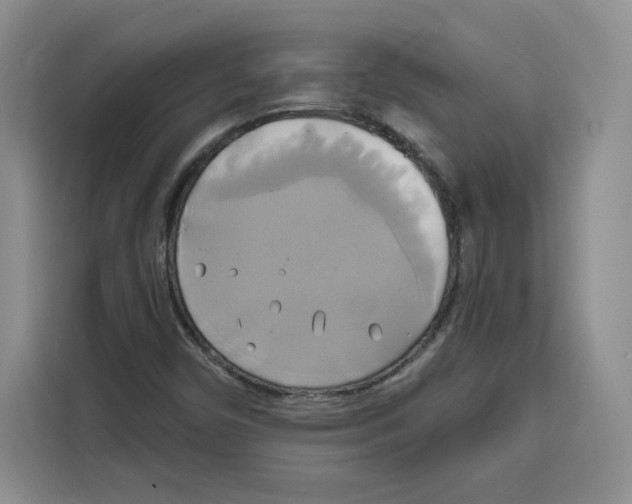 X0000115091450200911241204