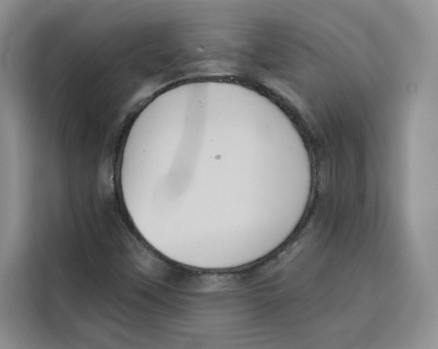 X0000115091451200911241204