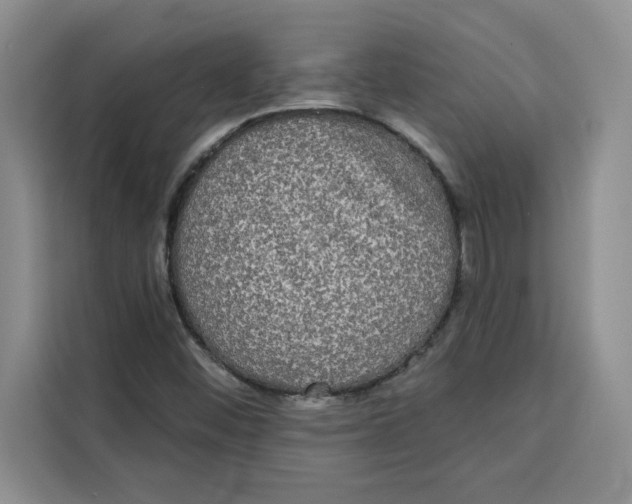X0000115091452200911241204
