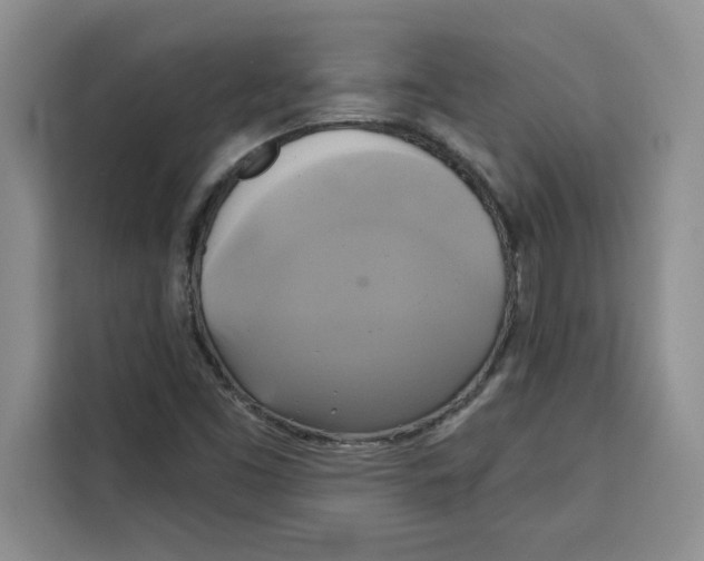 X0000115091453200911241204