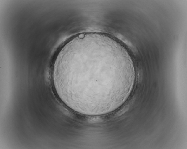 X0000115091454200911241204