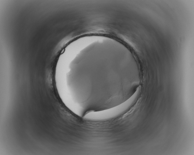 X0000115091455200911241204