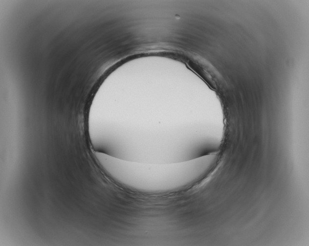 X0000115091457200911241204