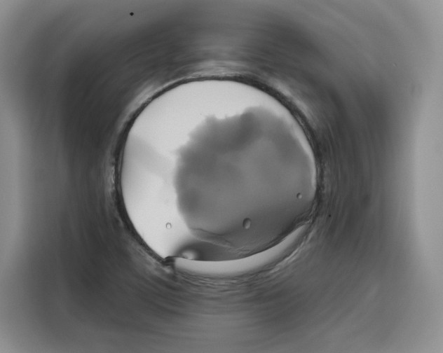 X0000115091459200911241204