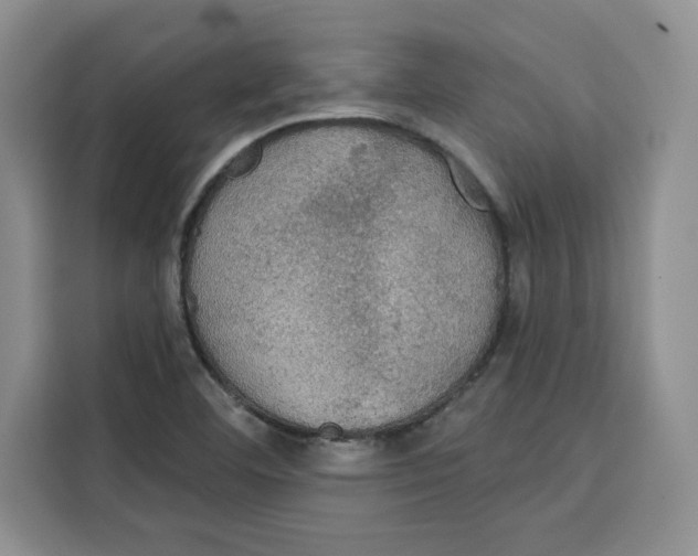 X0000115091460200911241204