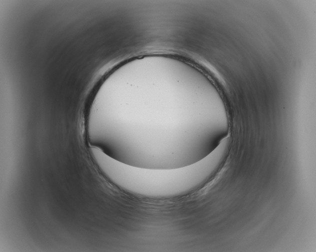 X0000115091461200911241204