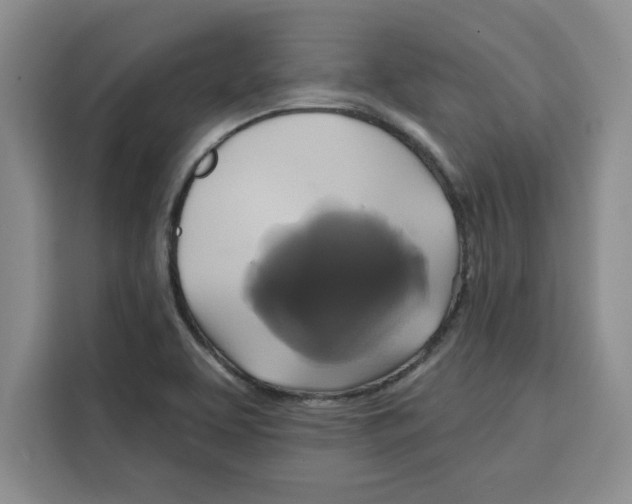 X0000115091463200911241204