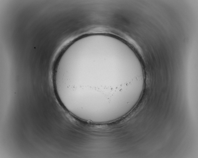 X0000115091464200911241204