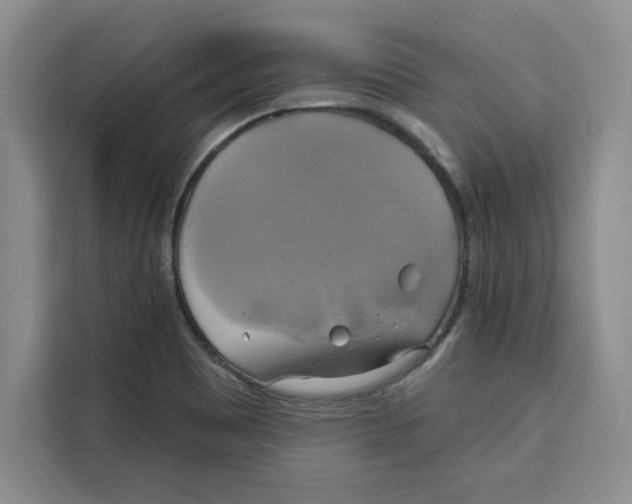X0000115091465200911241204