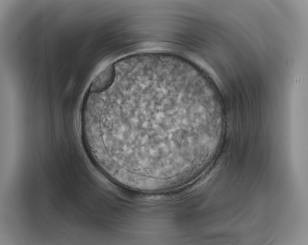 X0000115091467200911241203