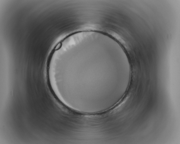 X0000115091469200911241203