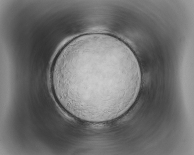 X0000115091470200911241203
