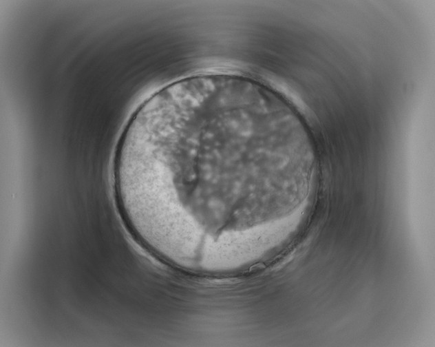 X0000115091471200911241203