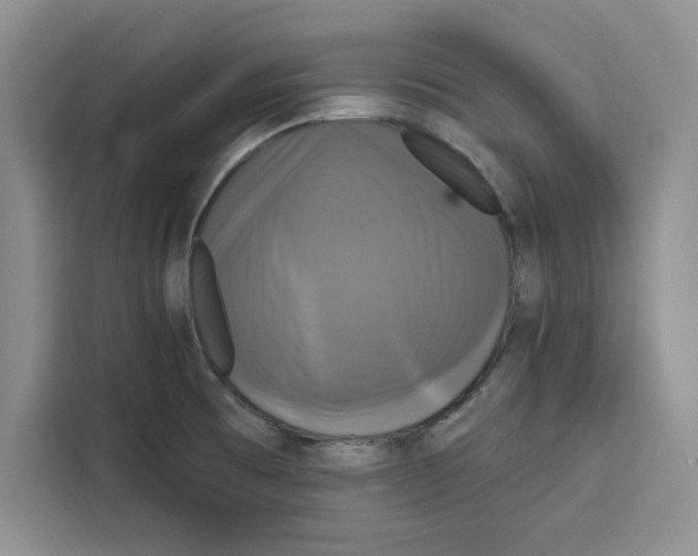 X0000115091473200911241203