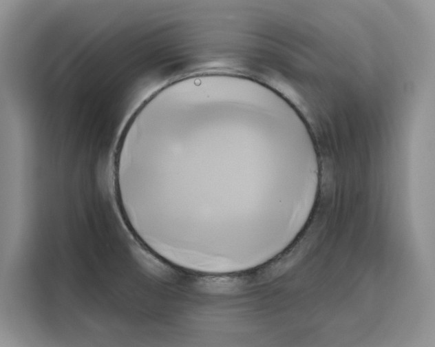 X0000115091474200911241203