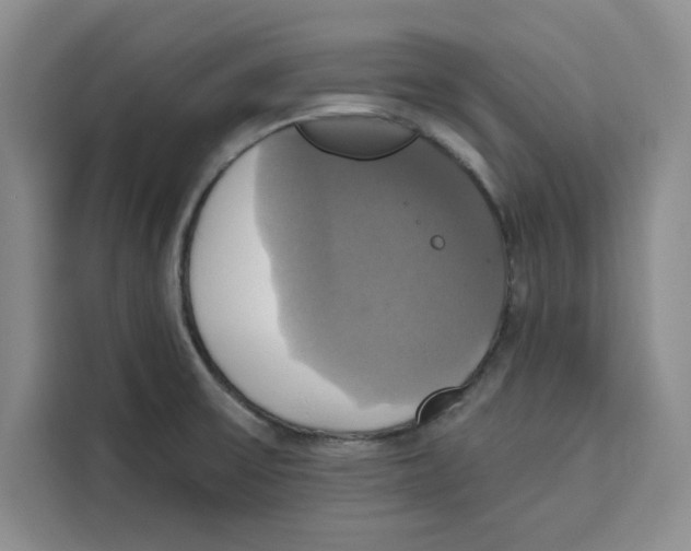 X0000115091475200911241203