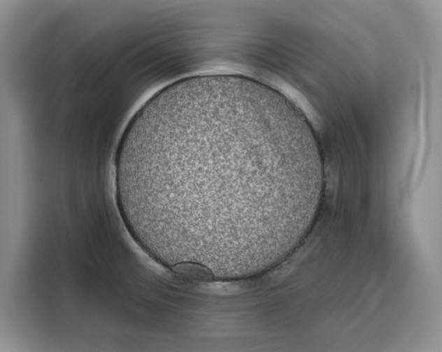 X0000115091476200911241203