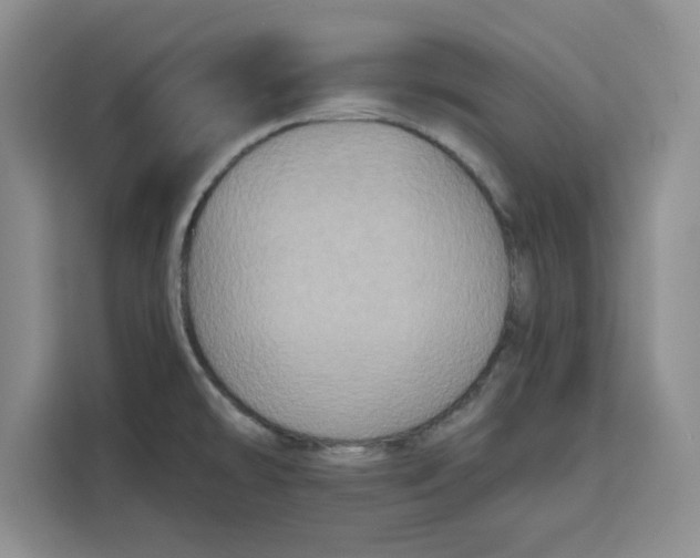 X0000115091478200911241203