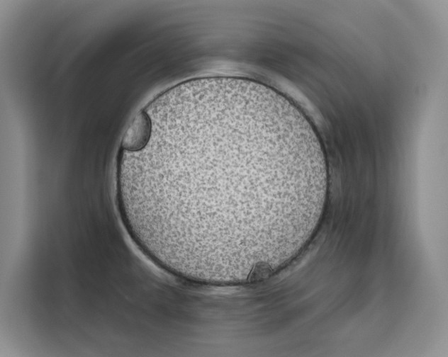 X0000115091479200911241203