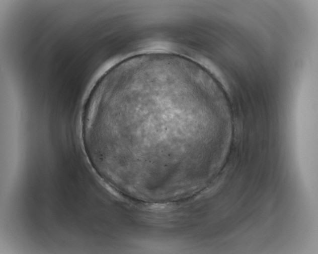 X0000115091480200911241203