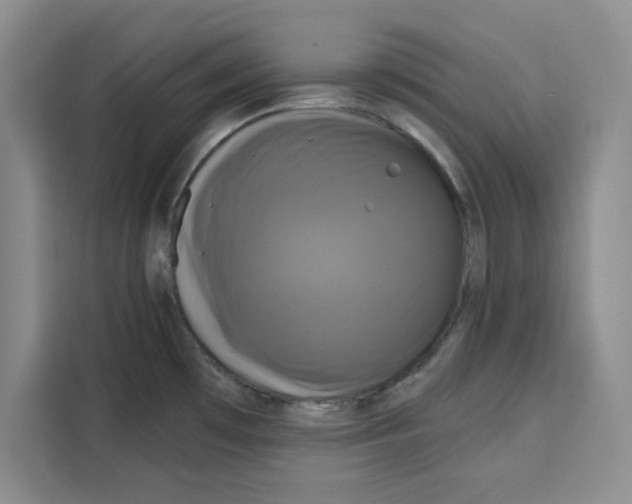 X0000115091481200911241203