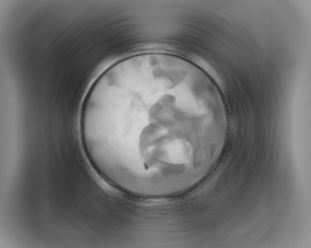 X0000115091482200911241203