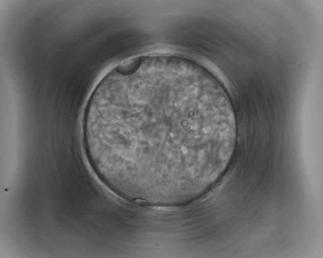 X0000115091483200911241203