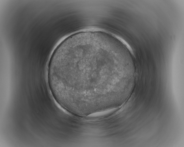 X0000115091484200911241203