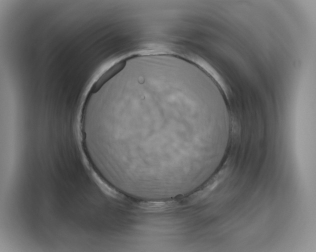 X0000115091485200911241203