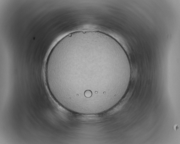 X0000115091486200911241203