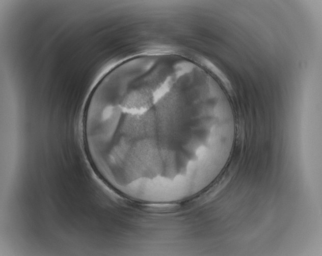 X0000115091487200911241203
