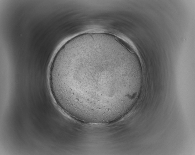 X0000115091488200911241203