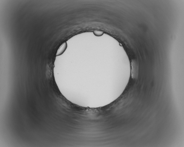 X0000115091491200911241203
