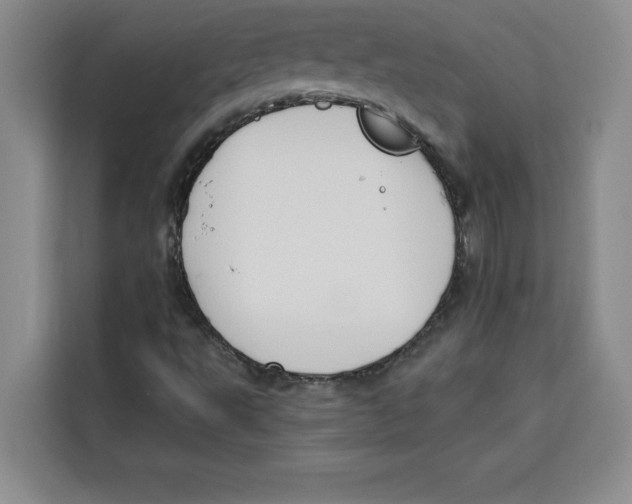 X0000115091495200911241203