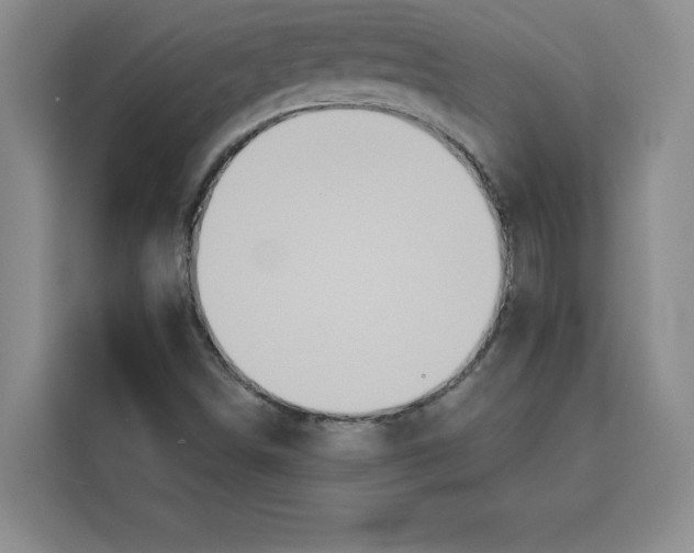 X0000115091498200911241203