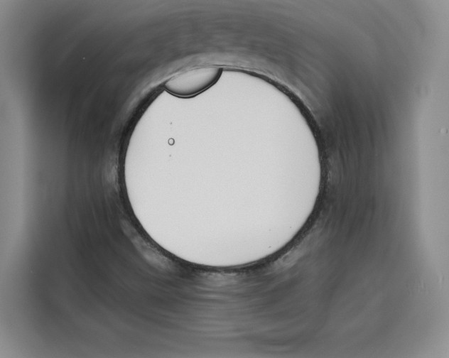 X0000115091499200911241203