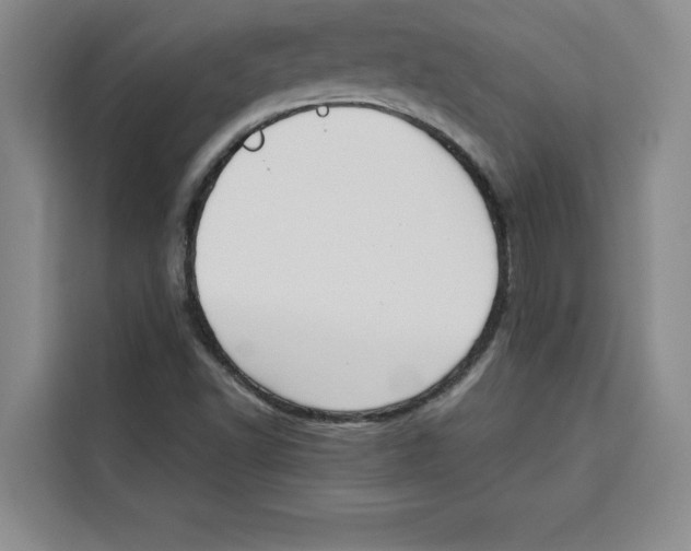 X0000115091502200911241203