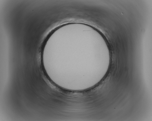 X0000115091503200911241203