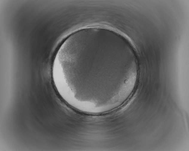 X0000115091506200911241203