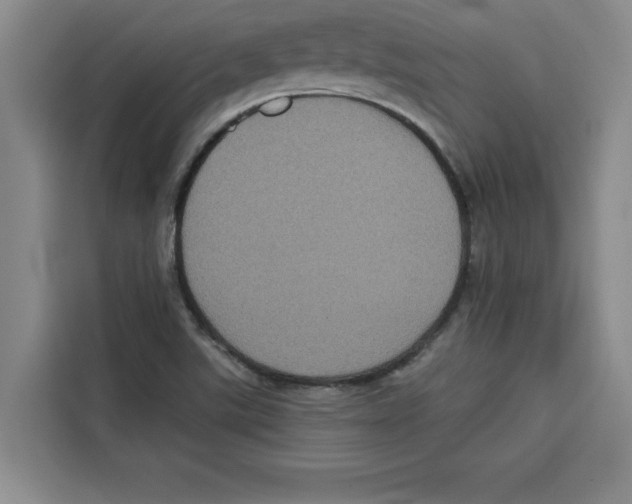 X0000115091507200911241203