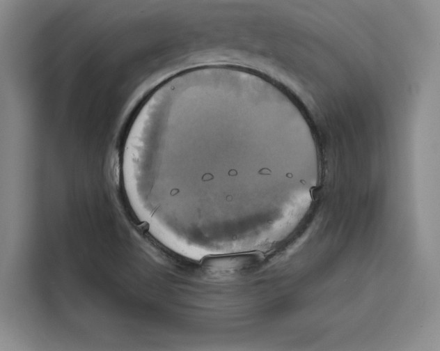 X0000115091509200911241203